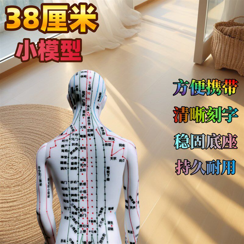 38CM人体针灸模型经络穴位模型身体十二经络铜色模特图可扎针