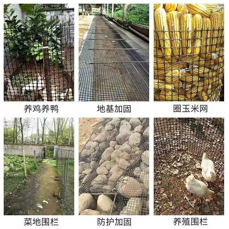特厚塑料围栏网养鸡鸭果园菜园鱼塘防护网养殖网玉米网圈地栅栏网