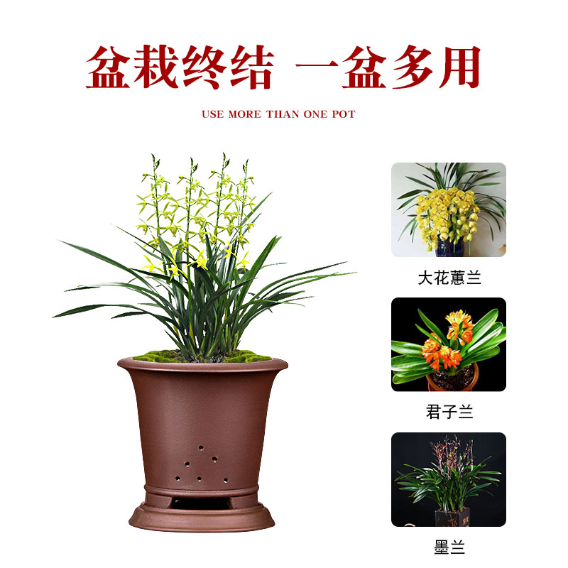 紫砂兰花盆透气控根家用陶瓷精品轻奢家用龙舌兰蝴蝶兰兰花套盆