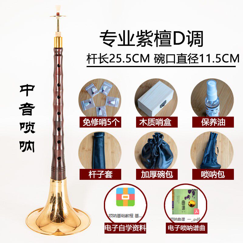 专业演奏唢呐全套纯铜印度小叶紫檀D调降B调高端锁呐乐器送伴奏