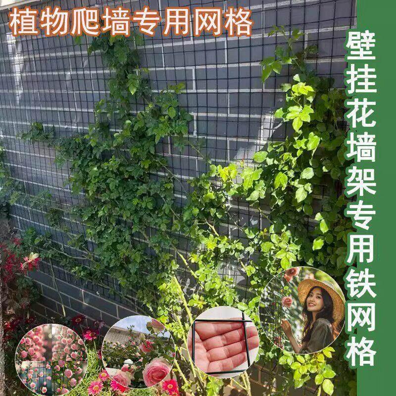 月季爬藤花墙架专用铁丝网花架蔷薇花植物爬墙固定网格壁挂爬藤架图片