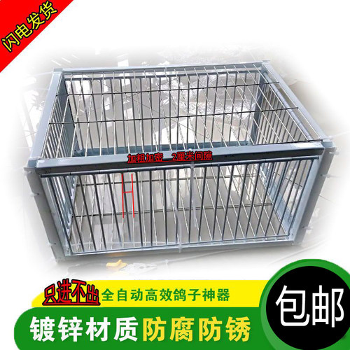 天落笼加密只进不出鸽子笼鸽子活络撞门笼自动收鸽鸽子笼鸽子神器