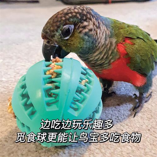 鹦鹉觅食球啃咬玩具大白鲨觅食球玄凤牡丹解闷自嗨丰容玩具藤球