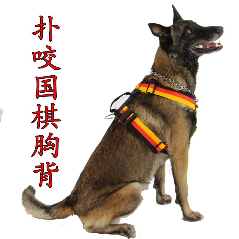 狗套装胸背金毛德牧马犬工作犬扑咬胸背带牵引绳k9中大型犬遛狗防