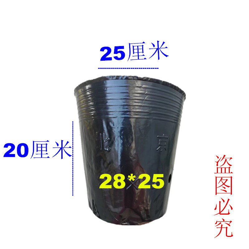 营养钵育苗袋细高型营养杯一次性塑料盆树苗提根营养袋育苗钵黑色