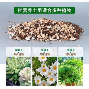 河沙鱼缸底砂粒精筛粗河砂多肉铺面石君子兰配土颗粒种植养花造景