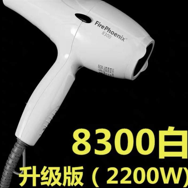 SK600吹风机发型师专用超轻静音发廊大功率美发吹风机正品