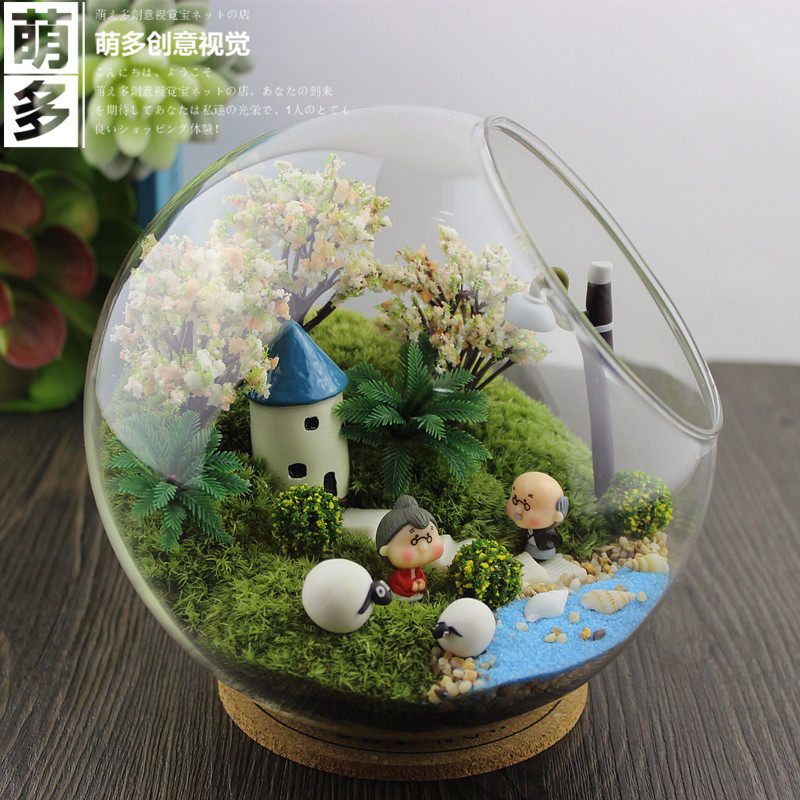 包邮苔藓微景观生态瓶创意diy组合盆栽新奇植物龙猫礼物办公室