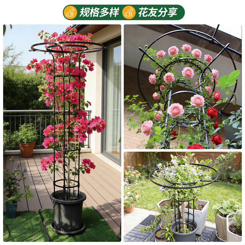伞形花架植物爬藤架花园玫瑰月季架子花撑支架支撑杆防腐防锈稳固