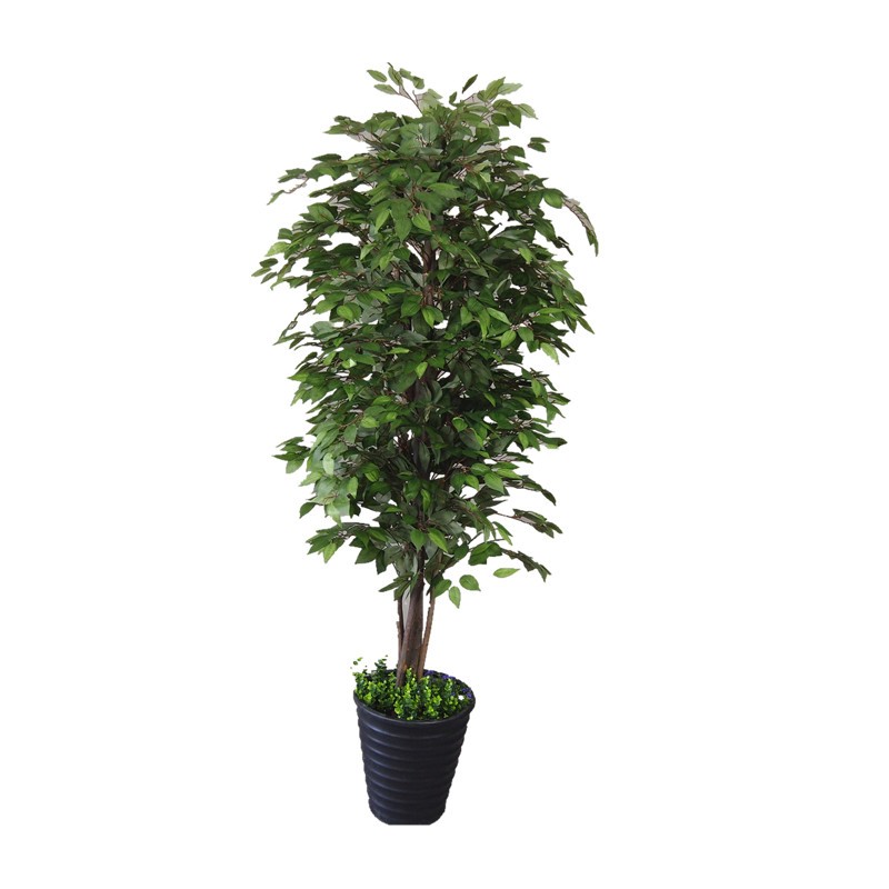 帝景工艺仿真植物仿真树假树客厅办公 5杆2米榕树装饰绿植花艺花