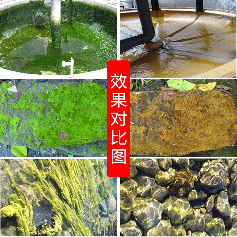 杀菌灭藻剂中央空调循环水冷却塔青苔粘泥剥离剂水处理水池除藻剂