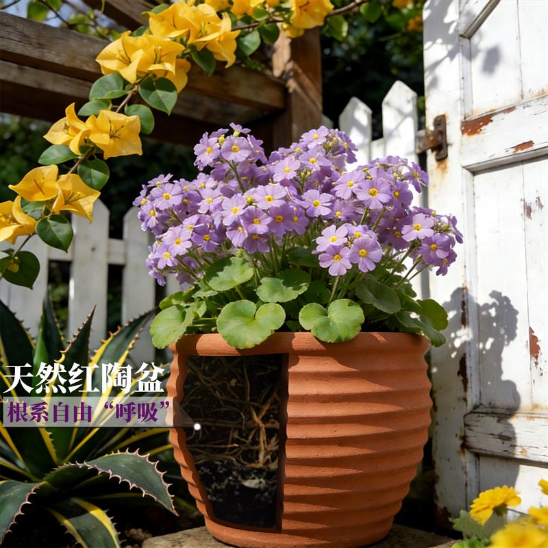 简约红陶大口径圆形粗陶花盆手工素烧控根透气龟背竹大号陶土陶盆