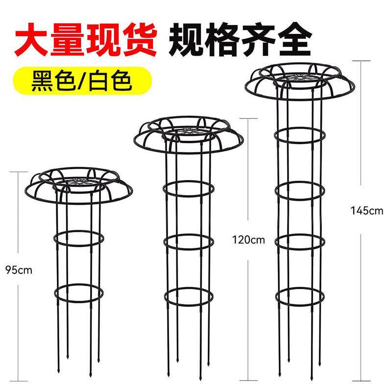 月季爬藤架植物攀爬架伞形花架支撑杆蔷薇铁线莲飘香藤固定花支架