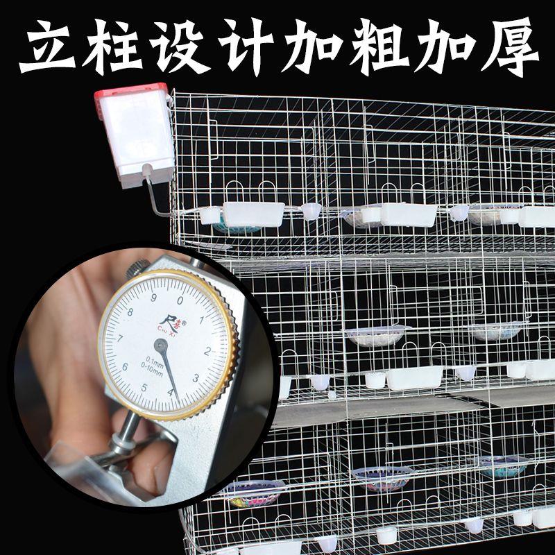 鸽子笼子家用特大号16位肉鸽繁殖笼12位信鸽繁殖配对笼家用信鸽笼