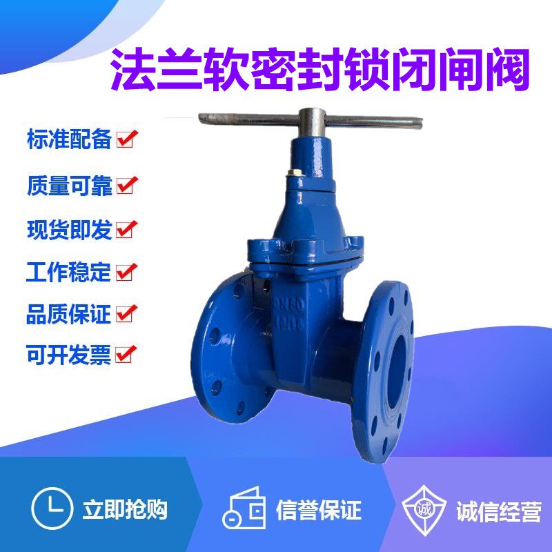 FDZ45X-10/16Q球墨铸铁弹性座软密封锁闭闸阀DN40-200水管防盗阀