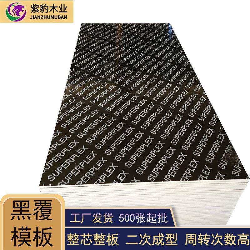 桥梁工地建设小黑板清水板建筑模板带英文字母黑色覆膜板