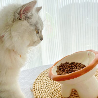 陶瓷猫碗可爱小狮子高脚护颈不易打翻斜口猫咪食盆一体式防黑下巴