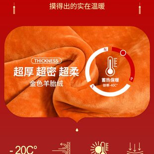 套装 保暖衣加绒中老年加厚秋衣秋裤 女 本命年男士 妈妈红色内衣套装