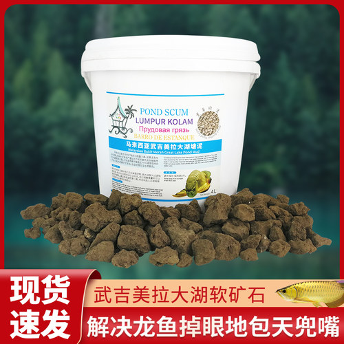 马来西亚龙鱼发色软矿石塘泥黑水增加矿物质修复已地包天兜嘴掉眼