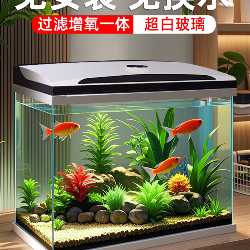 超白玻璃生态鱼缸过滤制氧一体机家用客厅2025新款小型桌面水族箱