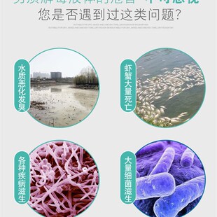 解毒碧水安有机酸碧水灵解毒剂小龙虾鱼塘调水净水解藻毒水产养殖