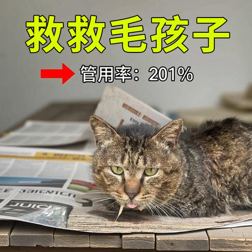 猫咪口特效炎猫咪流口水消牙龈红肿杯状牙龈炎肉芽肿痛病毒专用
