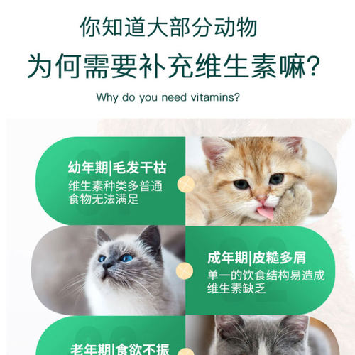 德文卷毛专用复合维生素片宠物补充剂成幼猫维生素B猫咪营养保健