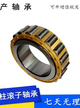 偏心轴承RN205 206 307 RN309 312 RN328 219 222 228EM减速机