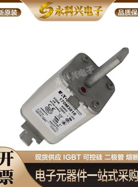巴斯曼快速熔断器保险170M4063/4064/4065/4066/4067/4068/4068