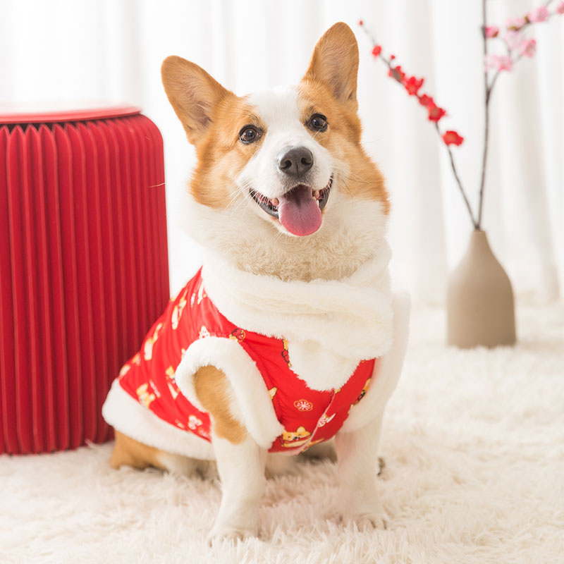 新年喜庆过年柯基犬唐装秋冬装拜年中型犬巴哥柴犬小狗狗冬季衣服