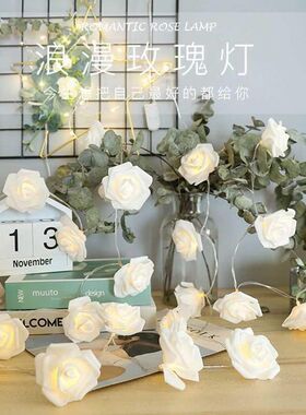 led玫瑰花藤条挂灯浪漫求婚场景布置少女宿舍卧室房间装饰小彩灯