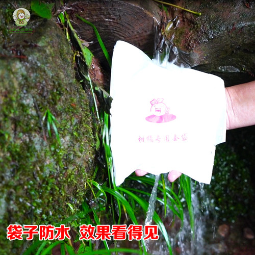 柑橘专用套袋橙子丑橘耙耙柑春见爱媛纸袋防病水虫21新款款式包邮