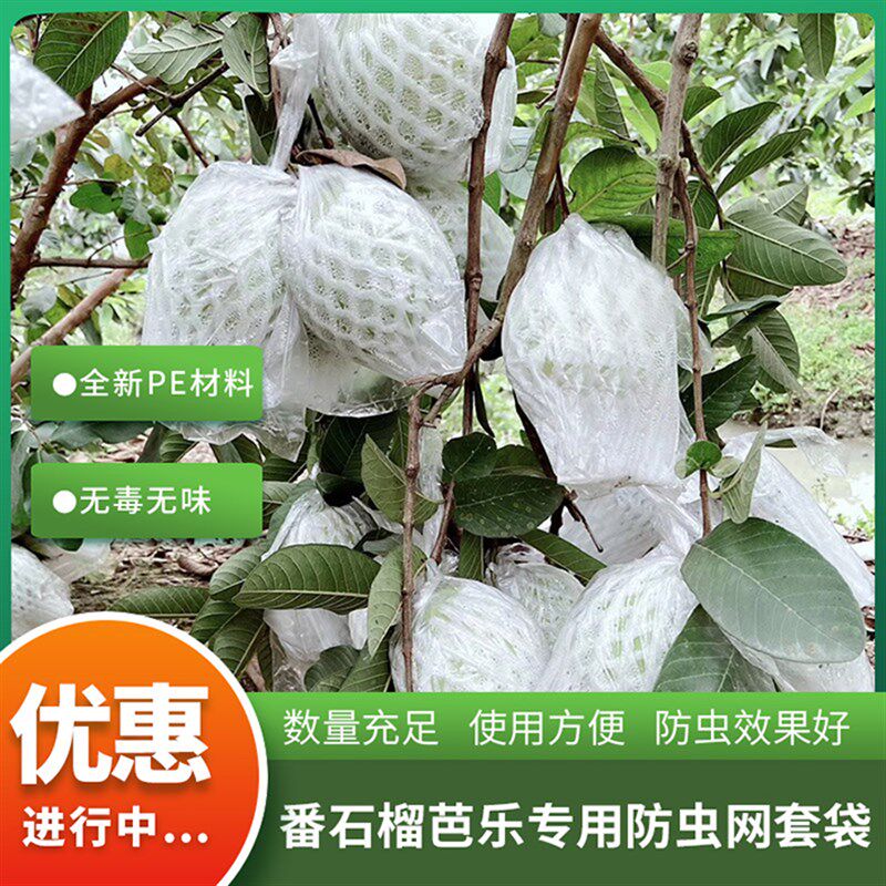 网套袋包番石榴芭乐防虫防鸟专用袋一体袋水果网套泡沫网保护袋
