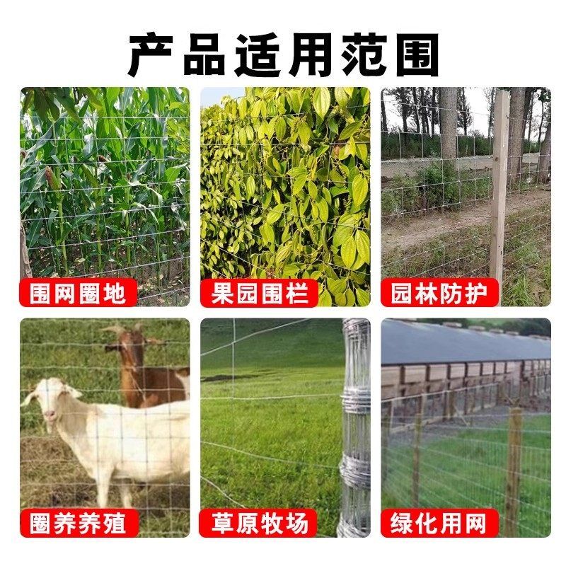 热镀锌铁丝网围栏钢丝铁网格网防护隔离养殖网牛羊果园圈地牛栏网