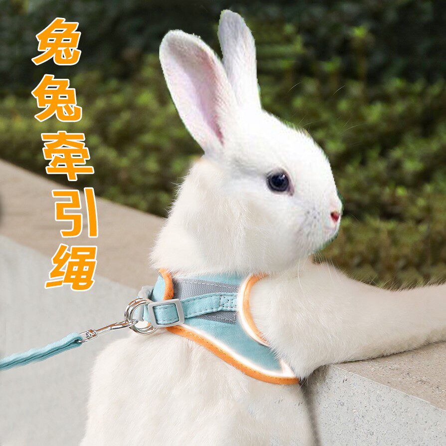 兔子牵引绳防挣脱专用溜兔子外出衣服防咬小侏儒兔遛兔栓绳子神器