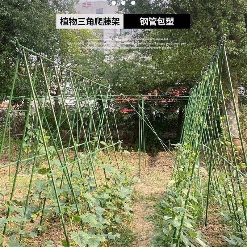 花架爬藤支架植物支撑杆铁管包塑钢管葡萄番茄瓜果园艺固定支撑架