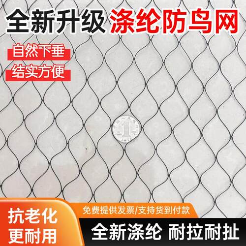 大棚专用防鸟网黑色涤纶果树防护网养殖鱼塘果园农田拦鸟天网罩