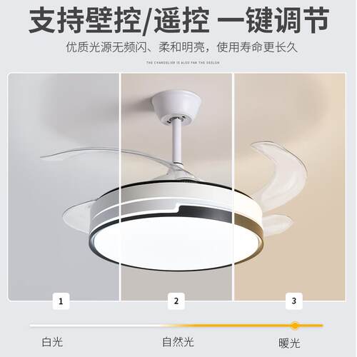 隐形风扇灯客厅家用变频大风力吊扇灯餐厅卧室吸顶带灯电风扇吊灯