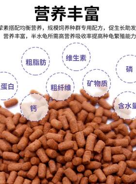 育归龟粮特殊龟专用黄缘钻纹龟幼龟粮剃刀闭壳龟粮星点水龟粮