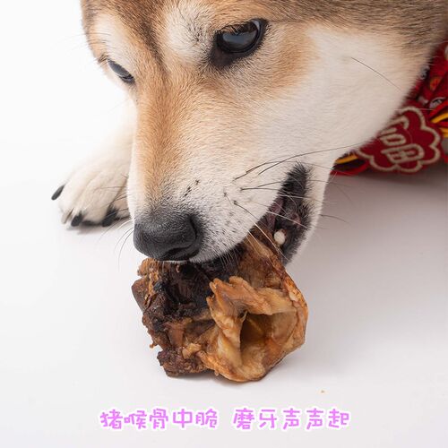 弯弯宠物手工零食狗零食猪喉骨多肉爱吃小型犬磨牙洁齿贵宾博美