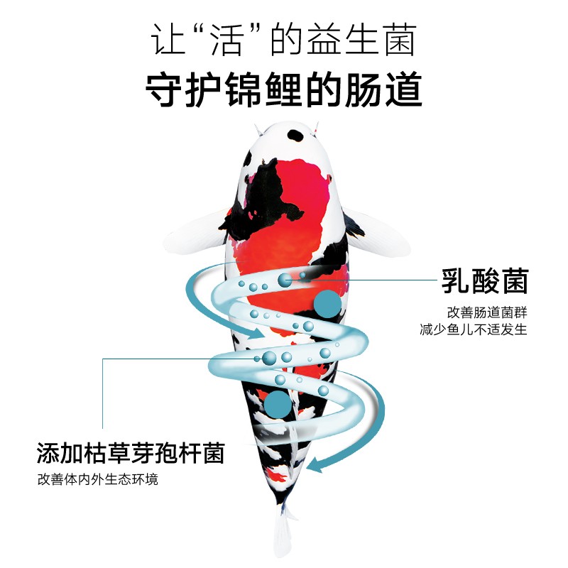 百因美锦鲤饲料色扬育成金鱼锦鲤鱼家用鱼粮小颗粒不浑水螺旋藻