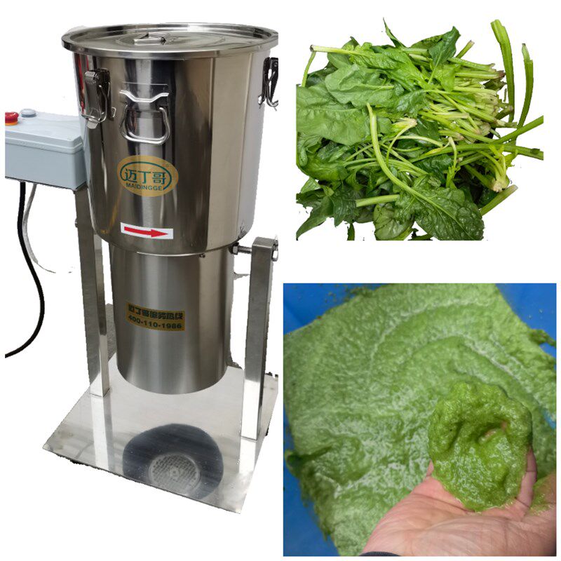 中山迈丁哥商用破壁打浆机蔬菜水果大型打浆机定制各种型号打泥机