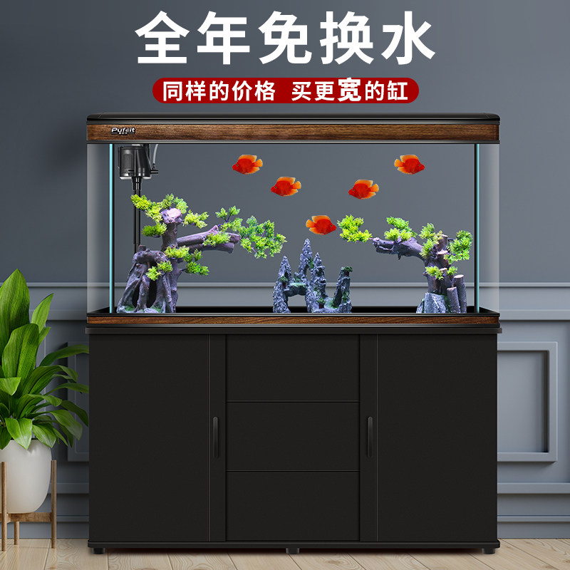 金龙鱼专用鱼缸中大型超清超白家用客厅办公室生态造景观赏鱼鱼缸