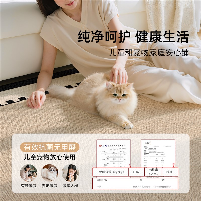 2026新款意式极简客厅地毯可机洗可拆洗无甲醛大宅高级卧室床边毯