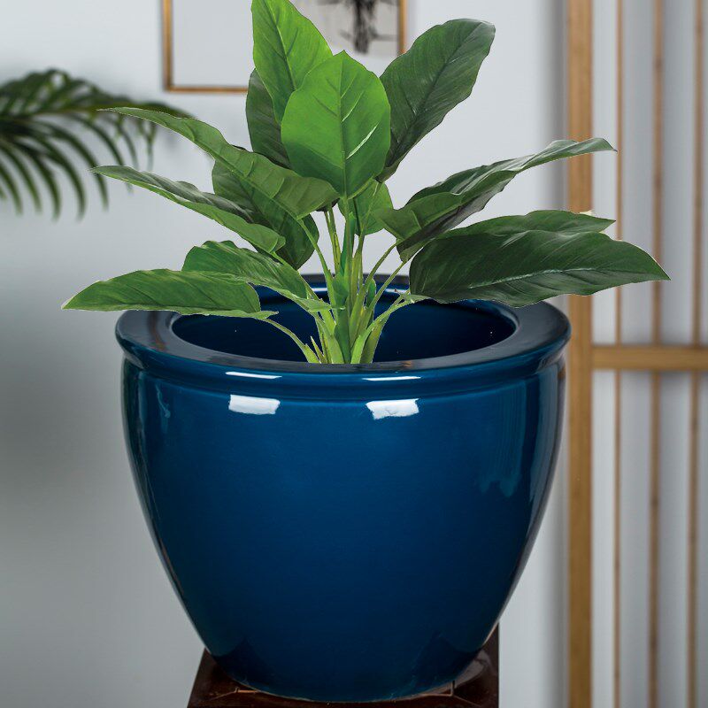 陶瓷花盆大口径特大号喜来登同款大堂室外庭院发财树绿植种树盆缸
