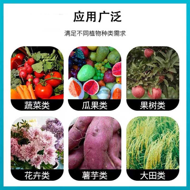 年辉科技大爆根2.5kg升级版娇生新根根多根旺根再生生根营养液