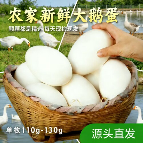 散养正宗土鹅蛋孕妇儿童天然健康