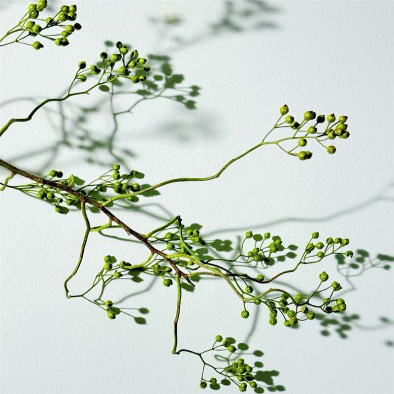 山归来鲜切枝条蔷薇果水培植物插花水培可干燥花高级感南蛇藤侘寂