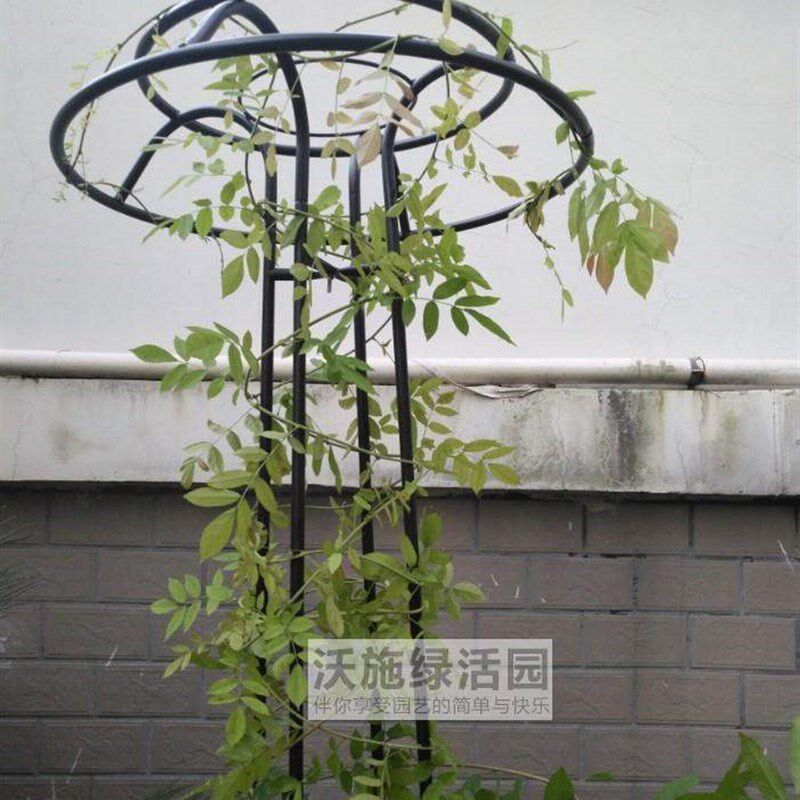 新品包邮蘑菇爬藤架园艺花架庭院花园伞型爬藤花架铁线莲牵牛铁艺