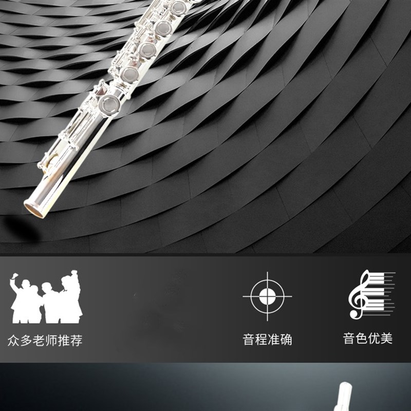 正品原装TAAN 长笛乐器 C调16/17开闭孔镀银E键初学考级演奏